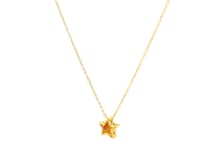 14k Yellow Gold Polished Star Necklace with Diamond