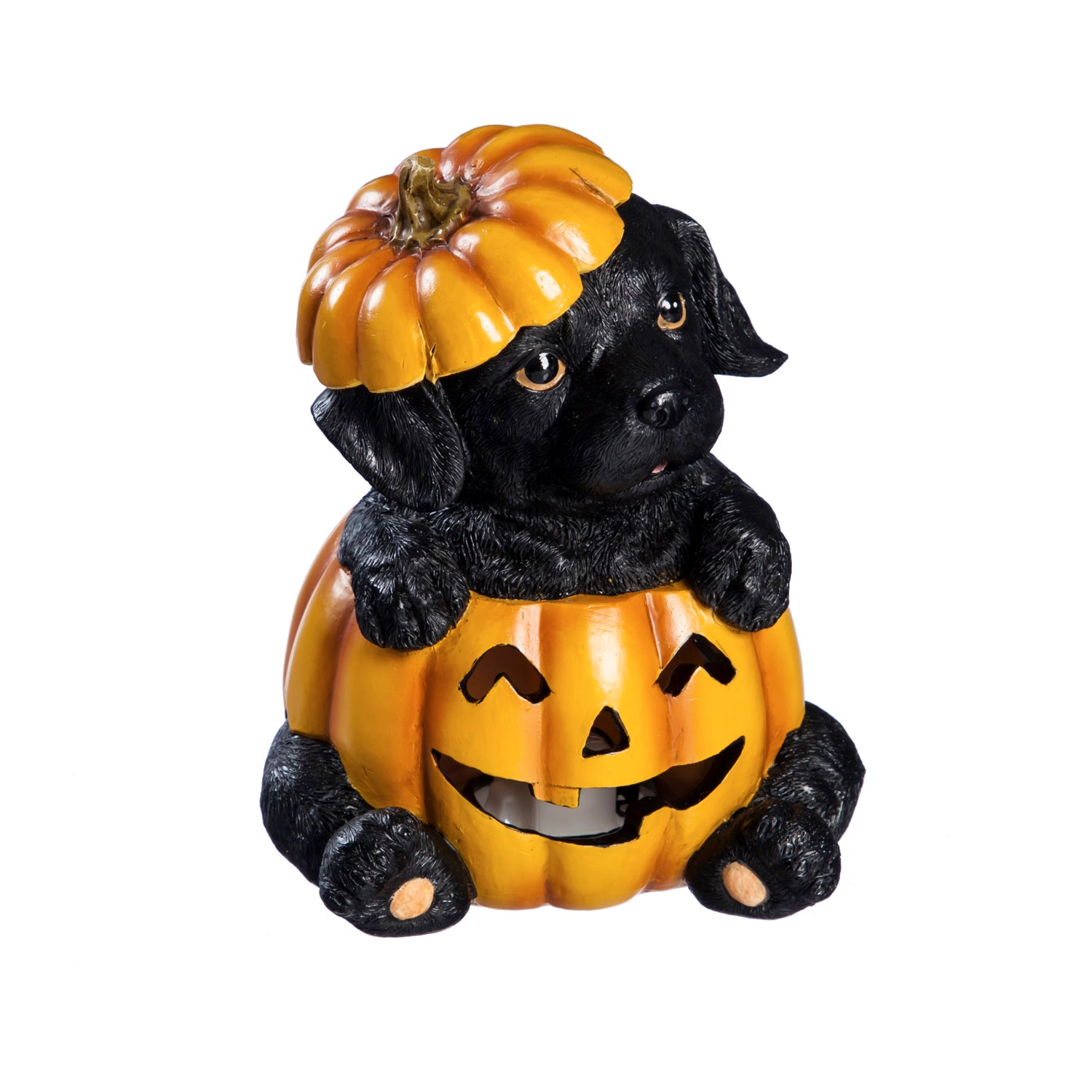 LED Pumpkin and Dog Tabletop Decor - Lake Norman Gifts