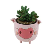 Baby Pig Planter - Lake Norman Gifts