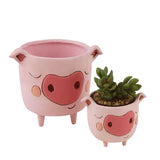 Baby Pig Planter - Lake Norman Gifts